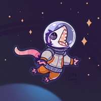 Commenters avatar