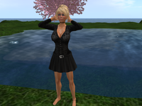 Commenters avatar