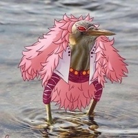 Commenters avatar