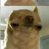 Commenters avatar