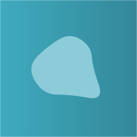 Commenters avatar