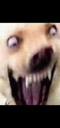 Commenters avatar
