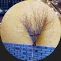 Commenters avatar