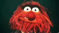 Commenters avatar