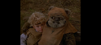 Commenters avatar