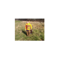 Commenters avatar