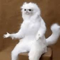 Commenters avatar