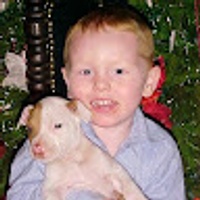 Commenters avatar
