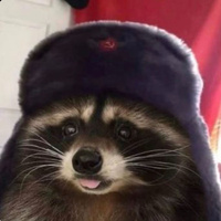 Commenters avatar