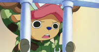 Commenters avatar