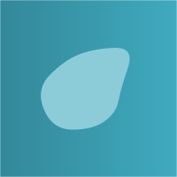 Commenters avatar